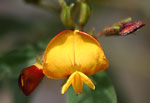Jardнn Botбnico
