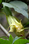 Jardнn Botбnico