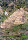 Choquesuysuy 