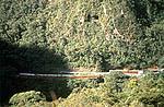 Tren Cusco - Machu Picchu